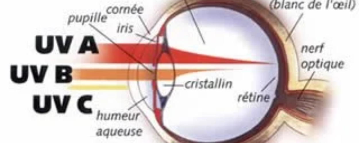UV latéraux : le risque oculaire que personne ne voit venir